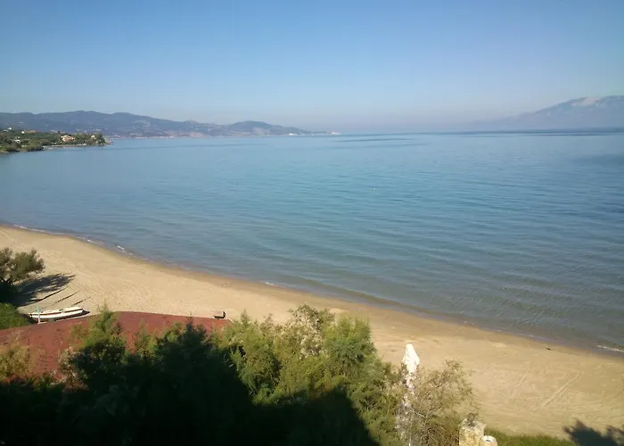 Psarou Daire *