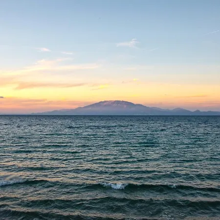 ψαρού στούντιος Διαμέρισμα
