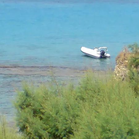 ψαρού στούντιος