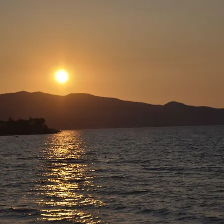 Διαμέρισμα ψαρού στούντιος *